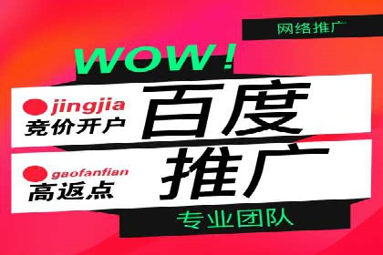 百度推广代理商成功案例：某行业巨头背后的推手
